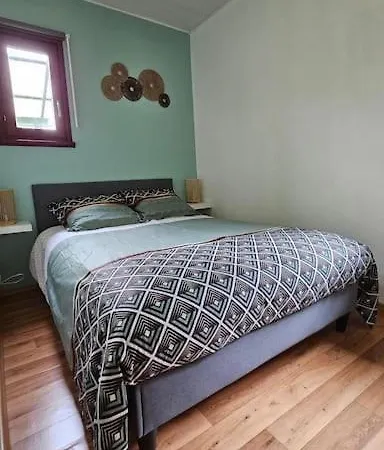 Holiday home Le Botanique Siersthal